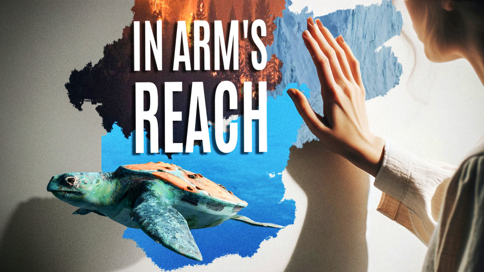 In Arm's Reach