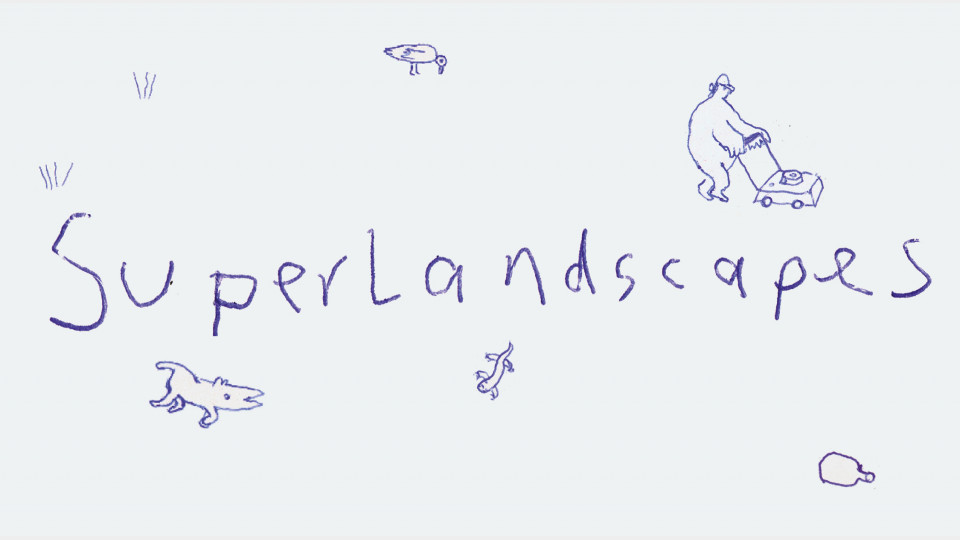 Superlandscapes